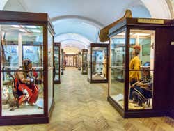 Exposiciones del museo