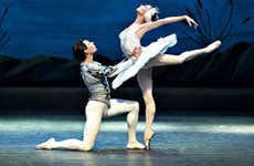 Guía de San Petersburgo